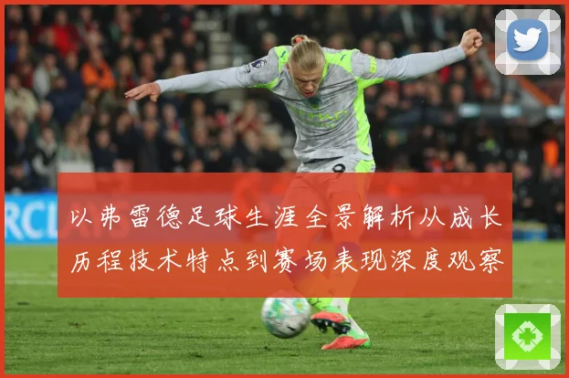 以弗雷德足球生涯全景解析从成长历程技术特点到赛场表现深度观察